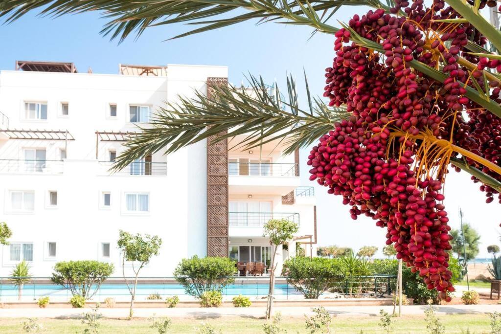 Private Beach Resort Cyprus Vokolidha Екстериор снимка